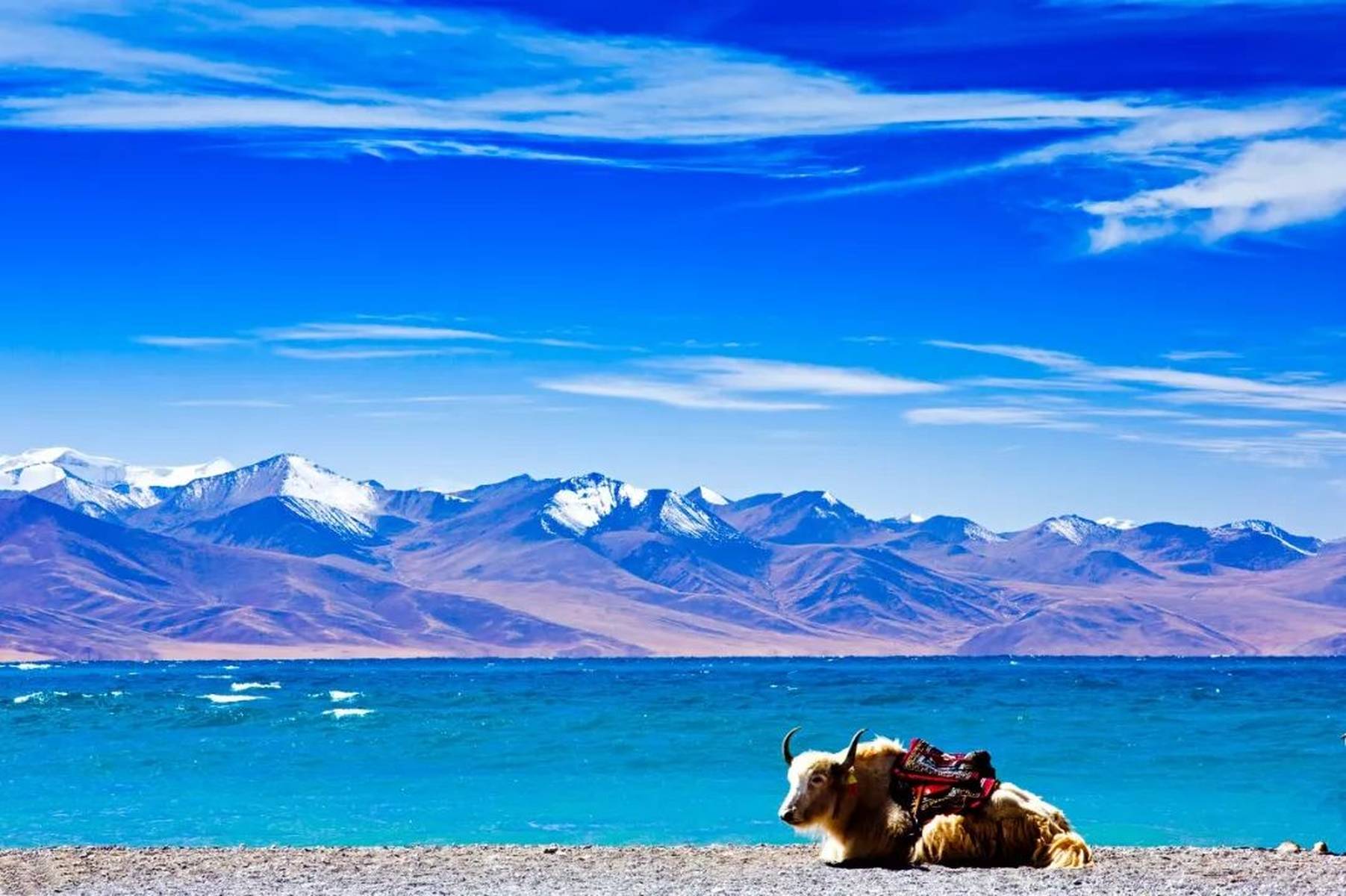 西藏，神秘高原的瑰丽征途